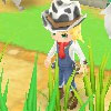 Harvest Moon: SN, Wii, Wii U y  3DS