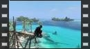 vídeos de Assassin's Creed IV: Black Flag