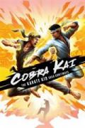 Cobra Kai: The Karate Kid Saga Continues portada