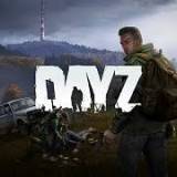 DayZ PC