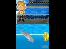 Imágenes recientes Dolphin Friends