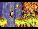 imágenes de Donkey Kong Country 3