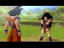 imágenes de Dragon Ball Z: Burst Limit