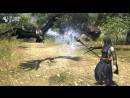 imágenes de Dragon's Dogma Online