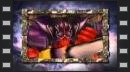 vídeos de Dragon Quest Monsters: Terry's Wonderland 3D