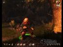 imágenes de Drakensang : The River Of Time