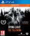 Dying Light: The Following portada