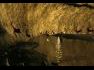 El secreto de la caverna perdida