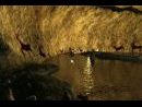 imágenes de El secreto de la caverna perdida