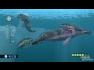 Endless Ocean 2: Aventuras bajo el mar