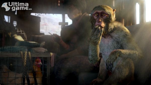 Juego Cooperativo De Far Cry 4 Ultimagame Juego Cooperativo De Far Cry 4 Ultimagame
