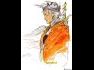 Final Fantasy I y II Advance: Dawn of Souls