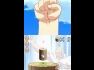 Full Metal Alchemist - Dual Sympathy