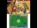 imágenes de Harvest Moon: A New Beginning