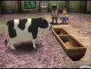 imágenes de Harvest Moon: A Wonderful Life Special Edition