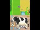 imágenes de Harvest Moon DS