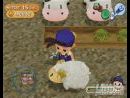 imágenes de Harvest Moon: Magical Melody