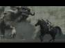 ICO and Shadow of the Colossus Collection
