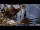 Alone In the Dark - Near Death Investigation nos descubre todos sus secretos