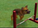 Anuncio japonés de Nintendogs