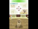 Nintendo lanzará en Japón 3 versiones distintas de Nintendogs