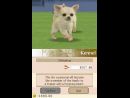 Nintendo lanzará en Japón 3 versiones distintas de Nintendogs
