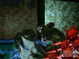 Resident Evil DS recibir� una versi�n de coleccionista en Jap�n