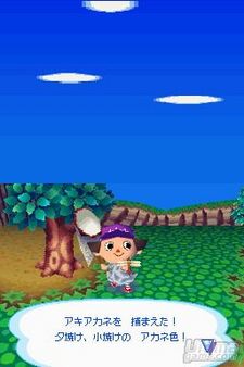 Fuentes japonesas anuncian las previsiones iniciales de venta de Animal Crossing DS