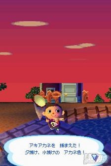 Fuentes japonesas anuncian las previsiones iniciales de venta de Animal Crossing DS