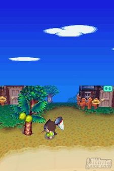 Fuentes japonesas anuncian las previsiones iniciales de venta de Animal Crossing DS