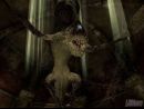 Los modos multijugador en Dark Messiah of Might & Magic