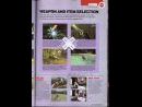 The Legend of Zelda: Twilight Princess desvelado