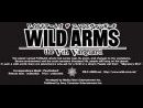 Detalles - Wild Arms Vth Vanguard