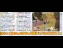 Todos los detalles de Shining Wind, al descubierto