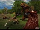 El Señor de los Anillos Online: Sombras de Angmar - Detalles