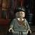 LEGO Harry Potter Collection