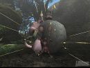 Capcom anuncia Monster Hunter 2 para PlayStation 2