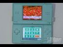 Nuevos detalles desvelados de Nintendo DS