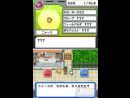 Pokémon Rangers para Nintendo DS - Primeros detalles