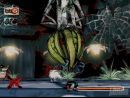 Okami en movimiento