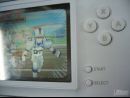 Ver la televisión en Nintendo DS, será posible