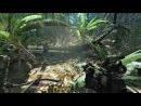 Más detalles sobre el multijugador en Crysis y las diferencias entre DirectX 9 y DirectX10