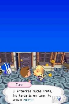 Fuentes japonesas anuncian las previsiones iniciales de venta de Animal Crossing DS