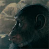 Planet of the Apes: Last Frontier consola