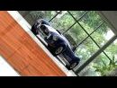 Making of – Test Drive Unlimited. 1ª Parte