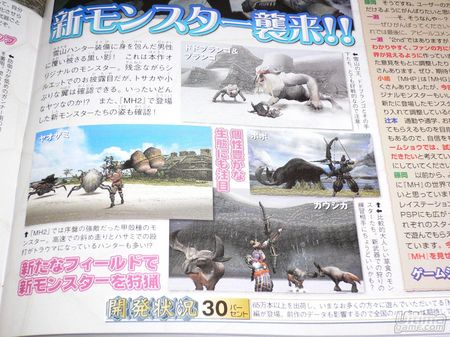 Nuevas imgenes y detalles de Monster Hunter Portable 2
