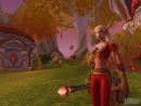 Detalles de World of Warcraft Burning Crusade
