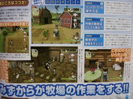Un vdeo y nuevas imgenes de Harvest Moon Heroes para Wii