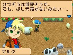 Detalles y nuevas imgenes de Harvest Moon - You and the Island