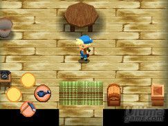 Detalles y nuevas imgenes de Harvest Moon - You and the Island